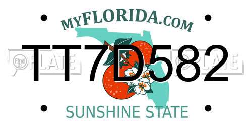 TT7D582 Florida License Plate