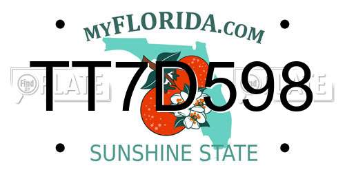 TT7D598 Florida License Plate