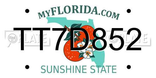 TT7D852 Florida License Plate