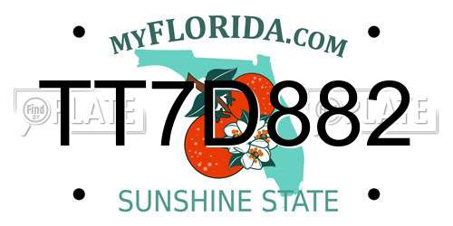 TT7D882 Florida License Plate