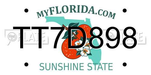 TT7D898 Florida License Plate
