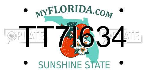 TT7I634 Florida License Plate