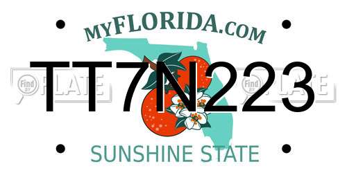 TT7N223 Florida License Plate