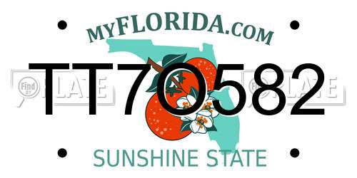 TT7O582 Florida License Plate