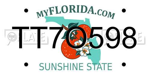 TT7O598 Florida License Plate