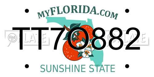 TT7O882 Florida License Plate
