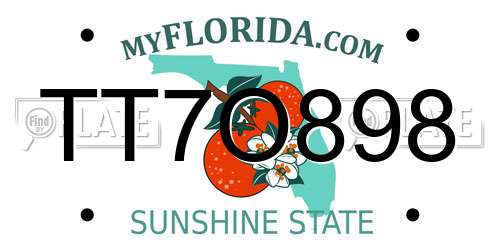 TT7O898 Florida License Plate