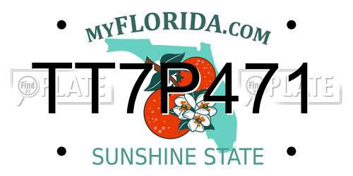 TT7P471 Florida License Plate