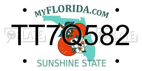 TT7Q582 Florida License Plate