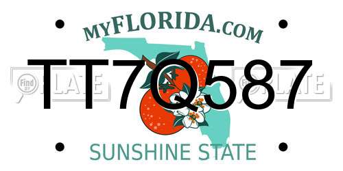 TT7Q587 Florida License Plate
