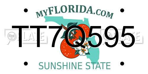 TT7Q595 Florida License Plate