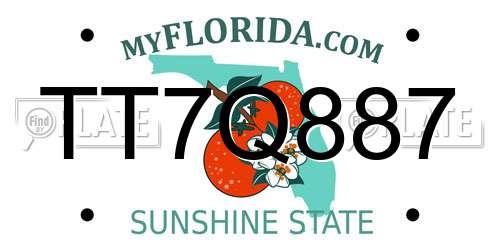 TT7Q887 Florida License Plate