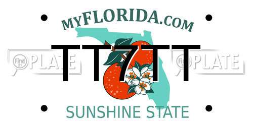 TT7TT Florida License Plate