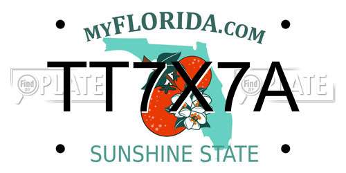 TT7X7A Florida License Plate