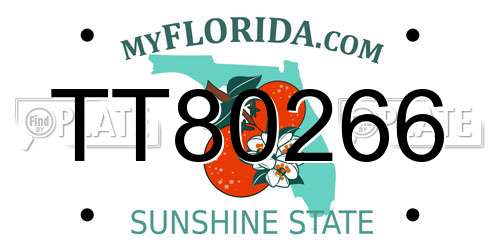 TT80266 Florida License Plate