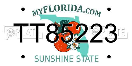 TT85223 Florida License Plate