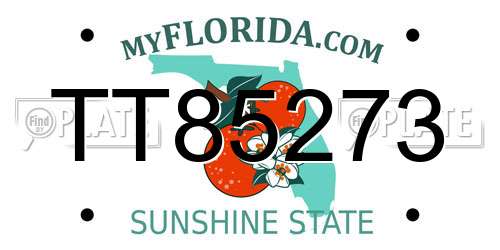 TT85273 Florida License Plate