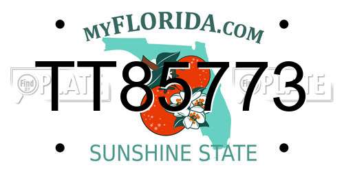 TT85773 Florida License Plate