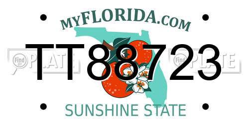 TT88723 Florida License Plate