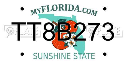 TT8B273 Florida License Plate