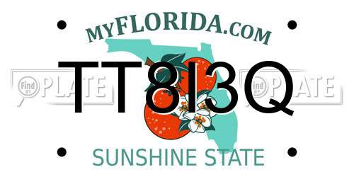 TT8I3Q Florida License Plate