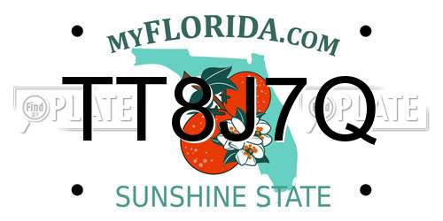 TT8J7Q Florida License Plate