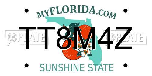TT8M4Z Florida License Plate