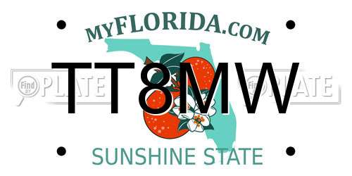 TT8MW Florida License Plate