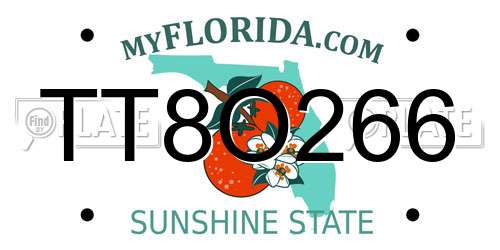 TT8O266 Florida License Plate