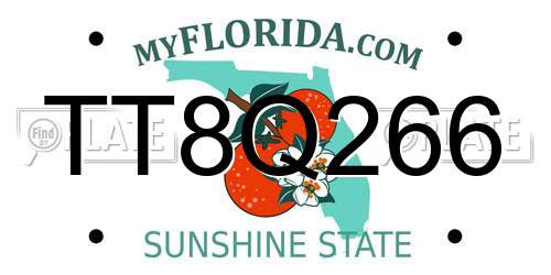 TT8Q266 Florida License Plate