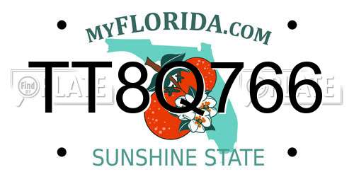 TT8Q766 Florida License Plate