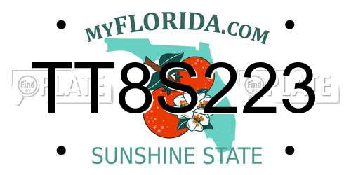TT8S223 Florida License Plate