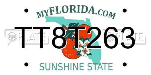 TT8T263 Florida License Plate