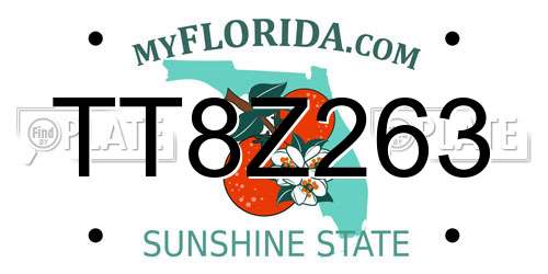 TT8Z263 Florida License Plate