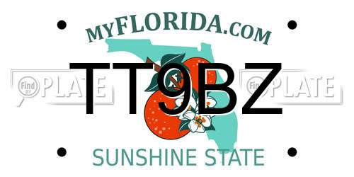 TT9BZ Florida License Plate