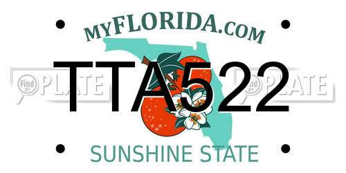 TTA522 Florida License Plate