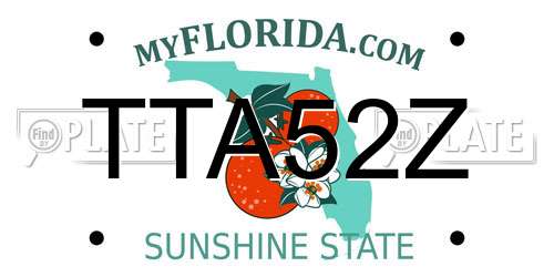 TTA52Z Florida License Plate