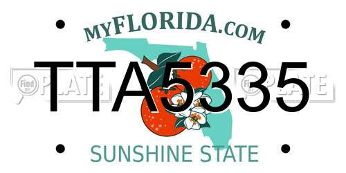 TTA5335 Florida License Plate