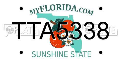 TTA5338 Florida License Plate