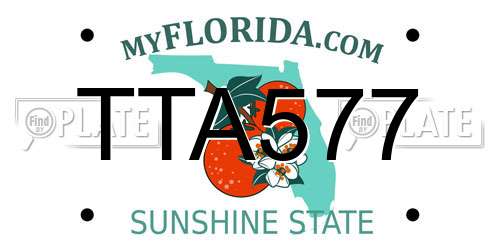 TTA577 Florida License Plate