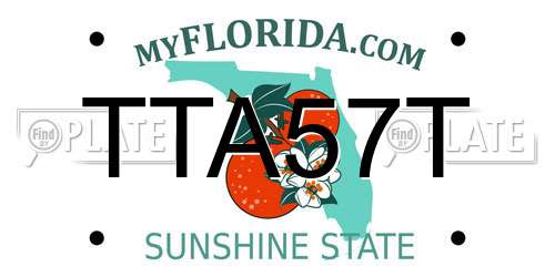 TTA57T Florida License Plate