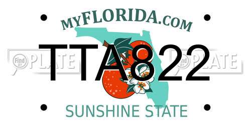 TTA822 Florida License Plate