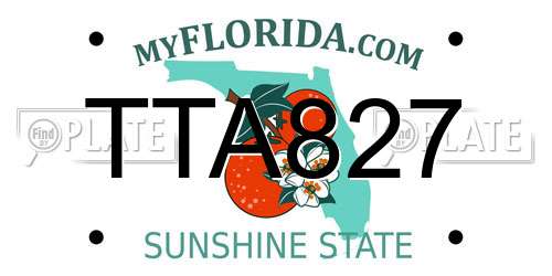 TTA827 Florida License Plate