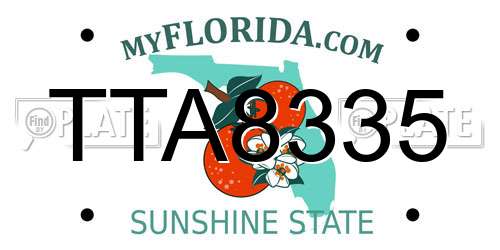 TTA8335 Florida License Plate