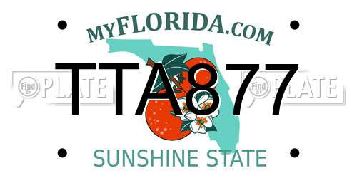 TTA877 Florida License Plate