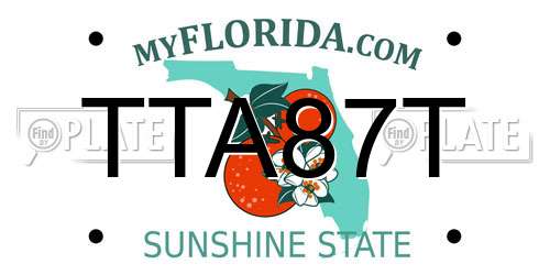 TTA87T Florida License Plate