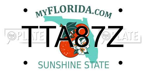 TTA87Z Florida License Plate