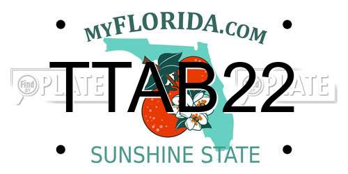 TTAB22 Florida License Plate