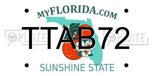 TTAB72 Florida License Plate