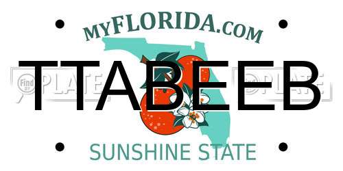 TTABEEB Florida License Plate
